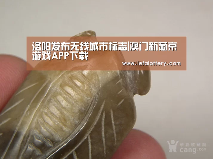 澳门新葡京游戏官网